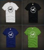 Camiseta Hollister - modelo Merchants